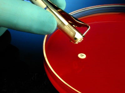 Antimicrobial Susceptibility Testing Disc HardyDisks™ Ceftazidime/Avibactam 30 / 20 µg