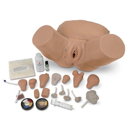 Pelvic and Gynecological Simulator Life/form® Advanced