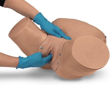 Pelvic and Gynecological Simulator Life/form® Advanced
