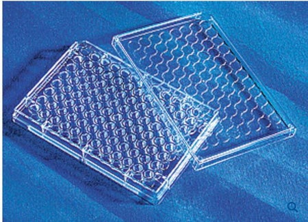 96-Well Microplate Costar™ Clear Sterile