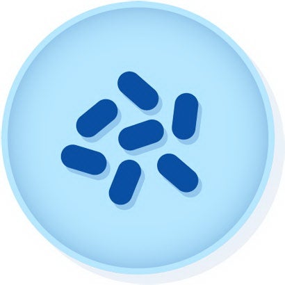 Quality Control Organism Lyfo Disk™ Haemophilus Influenzae, ATCC® 35056™ Chocolate Agar