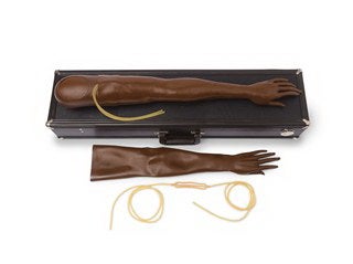 IV Training Arm Multi-Venous IV Training Arm Kit Female Adult