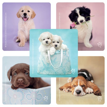 Sticker SmileMakers® 100 per Box Rachael Hale Dogs 2-1/2 X 2-1/2 Inch