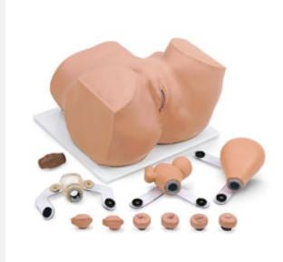 Gynecological Mannequin Eva