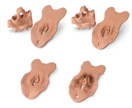 Complete Set of Specialized Examination Modules Life/form®