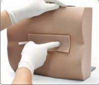 Lumbar Puncture Trainer Gaumard® 4.5 lbs. Imported