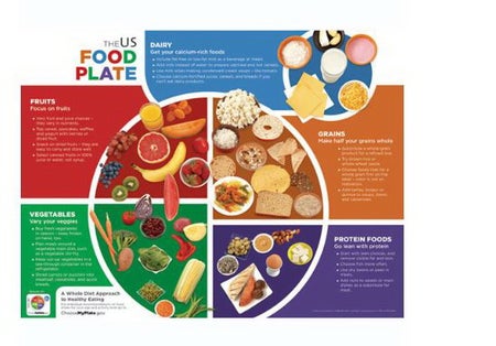 Food Plate Poster Learning ZoneXpress Laminated