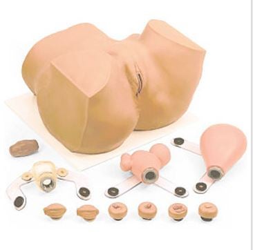Gynecological Mannequin Eva Female Vinyl