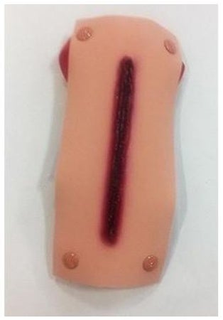 Arm Model