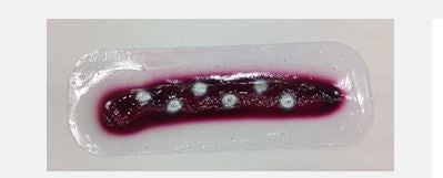 Laceration Stick-On
