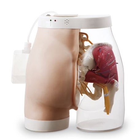 Intramuscular Injection Model Simlab