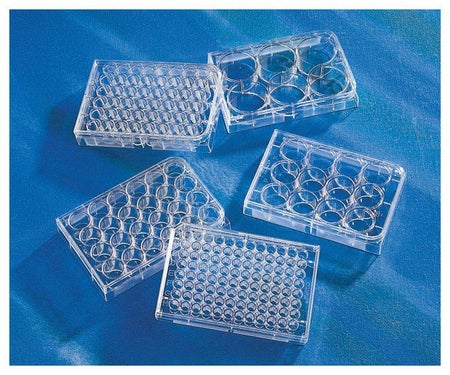 Multiwell Cell Culture Plate Costar™ Polystyrene