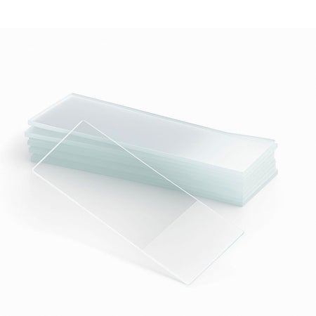 Gram Stain Slide PREVI® Color 25 X 75 X 1 mm White End