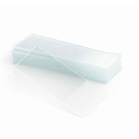 Gram Stain Slide PREVI® Color 25 X 75 X 1 mm White End