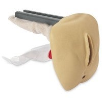 Replacement Female Genitalia Life/Form® GERi™/KERi™ Complete, Advanced, and Auscultation