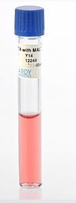Prepared Media Cystine Trypticase™ Agar (CTA Medium™) with Maltose Tube Format