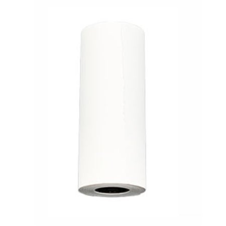 Recording Chart Paper Edan® Roll Without Grid