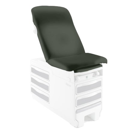 Upholstered Top Ritter® 204 Shaded Garden For 204 Examination Table
