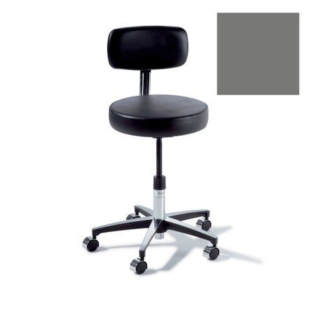 Manual Screw Adjust Stool Ritter® 275 Classic Series With Backrest Pneumatic Height Adjustment 5 Casters Lunar Gray