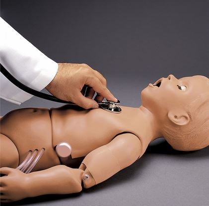 Torso Mannequin Gaumard® Heart and Lung Torso Gender Neutral Child, 5-Year Old 37 lbs.
