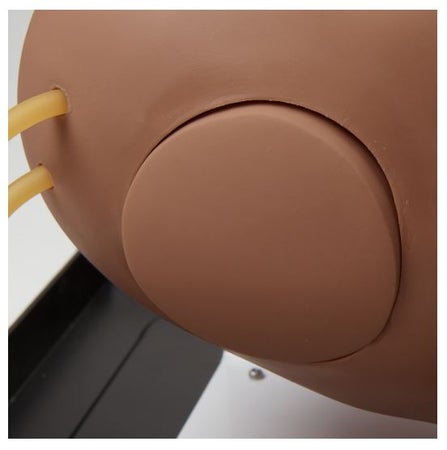 IV Training Arm Simulaids® Deluxe Gender Neutral PVC