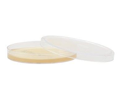 Prepared Media Tryptic Soy Agar (TSA) with Lecithin and Tween® 80 Mono-Plate Format