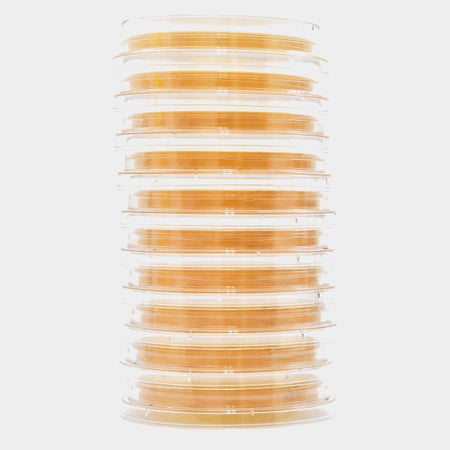 Growth Media Lok-Tight™ Sabdex (Sabouraud Dextrose) Agar with Lecithin and Tween® 80 Mono-Plate Format