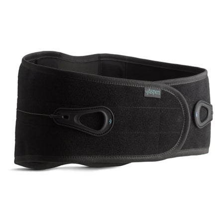 Back Support Aspen® Lumbar Support™ Small Hook and Loop Closure 26 to 31 Inch Waist Circumference Adult