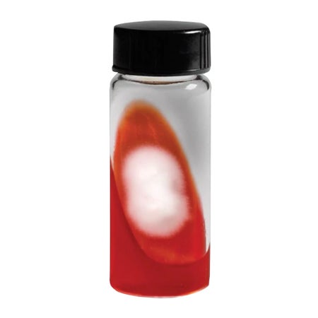 Prepared Media Thermo Scientific™ Remel™ DermaTube™ Dermatophyte Test Medium (DTM) Slant Tube Format