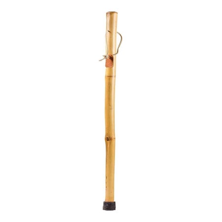 Walking Stick Brazos™ Free Form Wood 48 Inch Height Bamboo