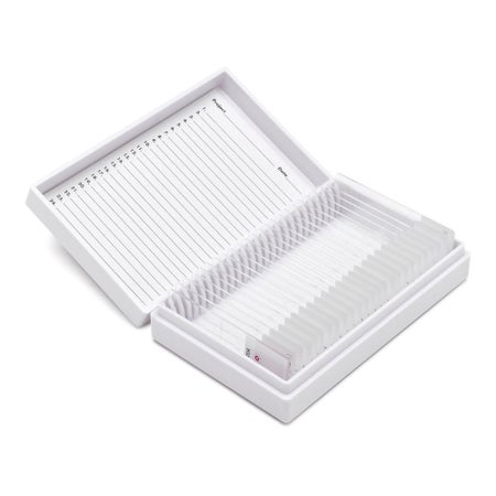 PAS Stain Control Fungus PAS