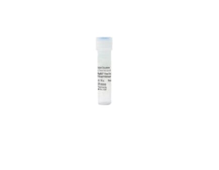Molecular Biology Reagent MagMAX™ Proteinase K Dye DNA / RNA Purification