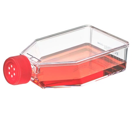 Culture Flask Diamond® SureGro™ Tissue Culture Treated Polystyrene / HDPE Cap 60 mL