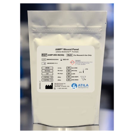 Molecular Reagent iAMP® Wound Panel For Research Use Only For RT PCR Instrument with FAM / HEX / ROX/ CY5 Fluorescence Channels 96 Tests
