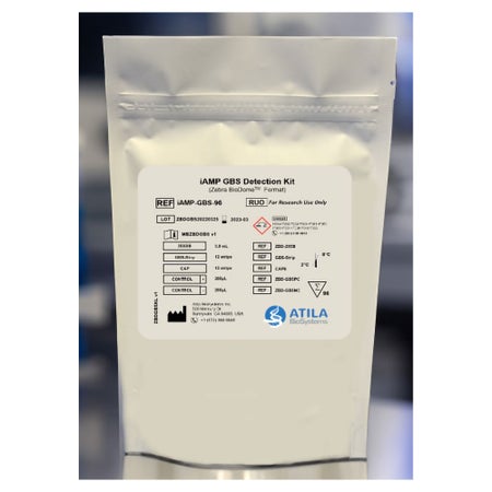 Molecular Reagent iAMP® Group B Streptococcus (GBS) Detection Kit For Research Use Only For Real Time PCR System with FAM / HEX Fluorescence Channels 96 Tests