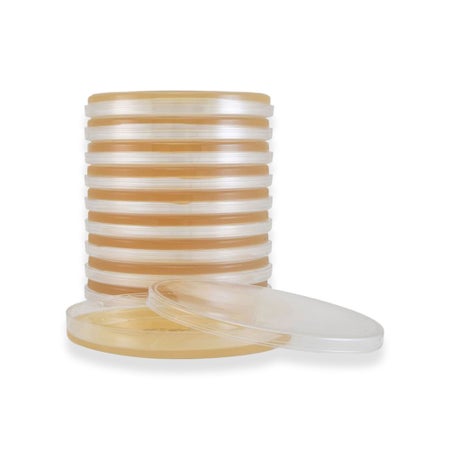 Growth Media Tryptic Soy Agar (TSA) Beige Mono-Plate Format
