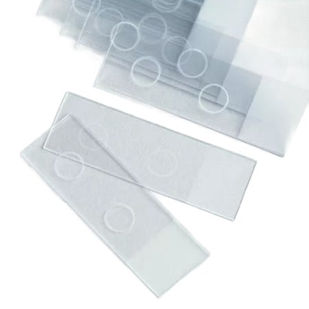 Fluorescent Antibody Microscope Slide Cardinal Health™ 25 X 75 X 1 mm Frosted End