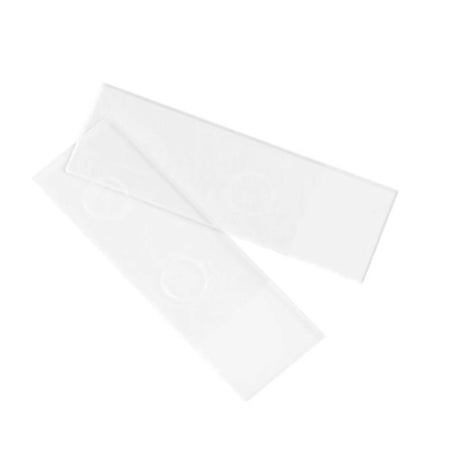 Fluorescent Antibody Microscope Slide Cardinal Health™ 25 X 75 X 1 mm Frosted End