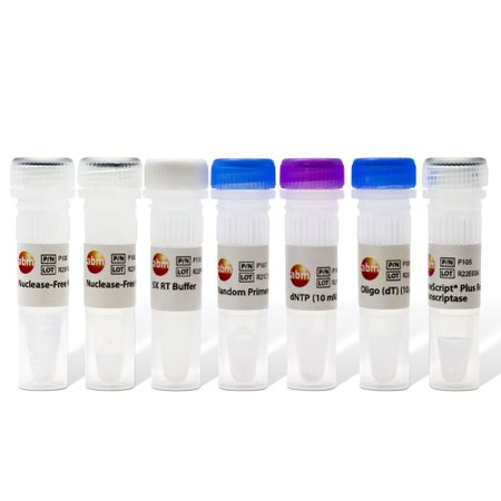 PCR Reagent Kit EasyScript Plus™ cDNA Synthesis Kit 100 Tests