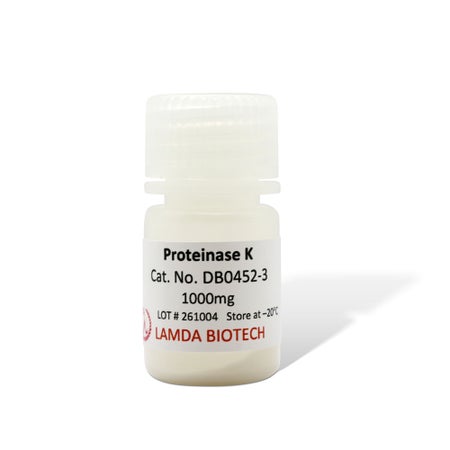 Molecular Biology Reagent Lamda Biotech Proteinase K Molecular Biology Grade 1,000 mg