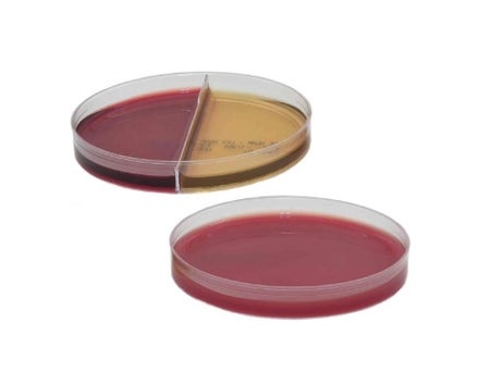 Culture Media AnaeroGRO™ DuoPak A Brucella Agar with Hemin and Vitamin K / Bacteroides Bile Esculin Agar and Laked Blood with Kanamycin and Vancomycin (LKV) Agar Red / Orange Mono-Plate / Bi-Plate