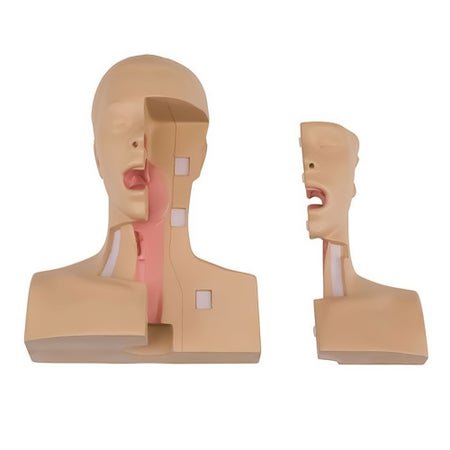 Tracheostomy Management Simulator Koken
