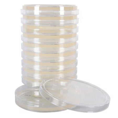 Prepared Media Marine Agar Mono-plate