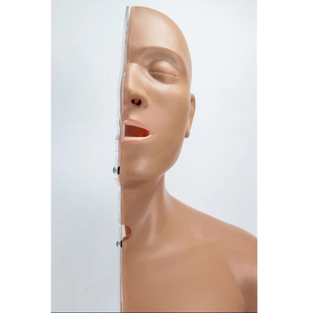 Nasogastric Tube Torso Model Unisex Synthetic Material