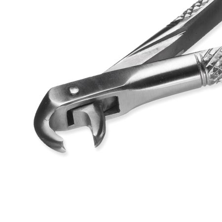Dental Extracting Forceps Instrapac® No. 161 OR / Surgical Grade Stainless Steel Sterile Plier Handle Curved Beak Tips