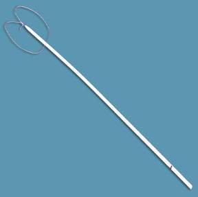 Absorbable Ligating Loop with Suture Surgitie™ with Surgigut™ Chromic Gut Size 0 18 Inch Suture Monofilament