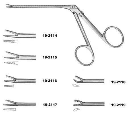 Alligator Forceps Miltex® House 2-3/4 Inch Length OR / Surgical Grade German Stainless Steel NonSterile NonLocking Finger Ring Handle Straight Blunt Serrated Tips