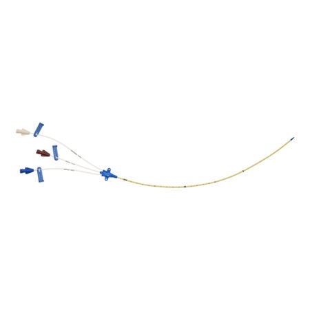 Central Venous Catheter Kit Arrow-Howes™ Blue FlexTip* 7 Fr. Triple Lumen