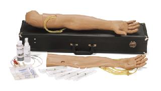 IV Training Arm Male Adult