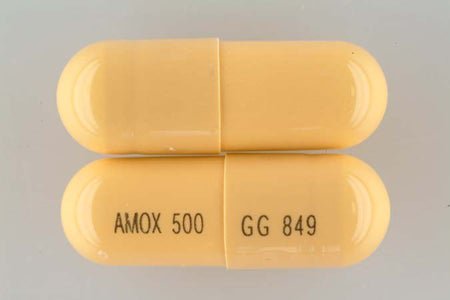 Amoxicillin 500 mg Capsule 500 Capsules